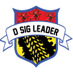 D-SIG Leader